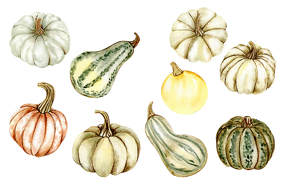 포토 JPG 해외이미지 클립아트 식물 편집 계절 포스터 꽃다발 채소 일러스트 호박 미술 사람없음 세트 컬러풀 라벨 축제 페인트 할로윈 수확 흰색 인사 붓 생일 그리기 인쇄 9월 11월 그림 기회 초대 박 추수감사절 스쿼시 10월 고립 구성 그런지 스크랩북 엘리먼트 채식주의자 현실 디테일 해외202310 해외일러스트 기념일 꽃 기독교 스포츠 컬러 농업 모션 문화예술 프레임 구기 예절 날짜 채식 파일형식