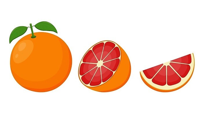 EPS 해외이미지 컬러 조각 과일 일러스트 귤 건강 미술 그래픽 세트 웹 주스 수확 껍질 흰색 신선 원형 그룹 시장 우아함 상품 인쇄 수집 피부 고립 엘리먼트 이국적 벡터 해외202310 해외일러스트 도형 음료 컨셉 농업 인터넷 문화예술 신체부위 파일형식