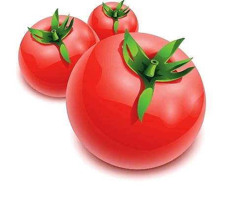 EPS 해외이미지 1 음식 줄기 컬러 백그라운드 잎 토마토 채소 과일 일러스트 재료 자연 탁자 건강 3 목재 빨간색 초록색 노란색 샐러드 젖음 흰색 시골 신선 원형 체리 그룹 시장 정상 작음 케첩 싱글 에코 유기농 포도나무 내추럴 고립 숙성 채식주의자 해외202310 해외일러스트 도형 나무 식물 웰빙 가구 환경 소스_음식 크기 과일나무 생태계 채식 파일형식 벡터