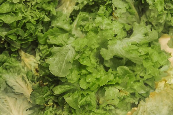 포토 JPG 해외이미지 식물 접시 음식 백그라운드 잎 농업 다이어트 채소 재료 자연 실내 건강 요리 사람없음 초록색 머리 정원 식사 저녁식사 샐러드 수확 흰색 신선 사발 닫기 자르기 먹기 유기농 양배추 날것 내추럴 고립 무생채 숙성 채식주의자 케일 개조 비건 해외202310 해외포토 식기 웰빙 산업 컬러 모션 내부 신체부위 사기그릇 생태계 채식 파일형식