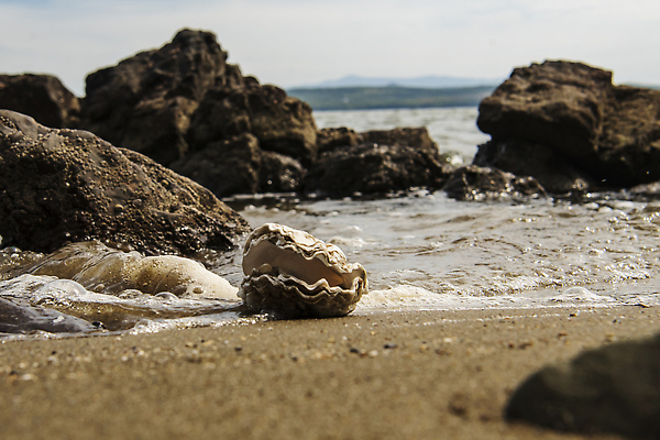 포토 JPG 해외이미지 구름 모래 파도 바다 섬 여행 자연 하늘 풍경 사람없음 물 여름 바위 만 암초 해외202310 해외포토 자연요소 계절 돌_바위 생태계 파일형식