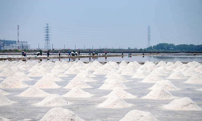 포토 JPG 해외이미지 전통 산업 아시아 음식 바다 여행 밭 농업 태국 자연 하늘 노동자 건강 사람 풍경 사람없음 야외 물 여름 농장 쌓기 금속 수확 흰색 작업 크리스탈 땅 소금 흙더미 내추럴 밭일 베터리 추출 해외202310 해외포토 자연요소 직업 계절 나라 컬러 모션 재질 흙 광석 생태계 파일형식 더미