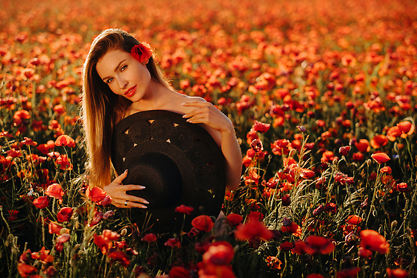 포토 JPG 해외이미지 여자 백그라운드 꽃밭 한명 들기 상반신 성인 앞모습 빨간색 화려 양귀비 성인여자한명만 해외202310 해외포토 1 꽃 뷰포인트 컬러 컨셉 모션 사람 여자한명만 성인여자만 파일형식