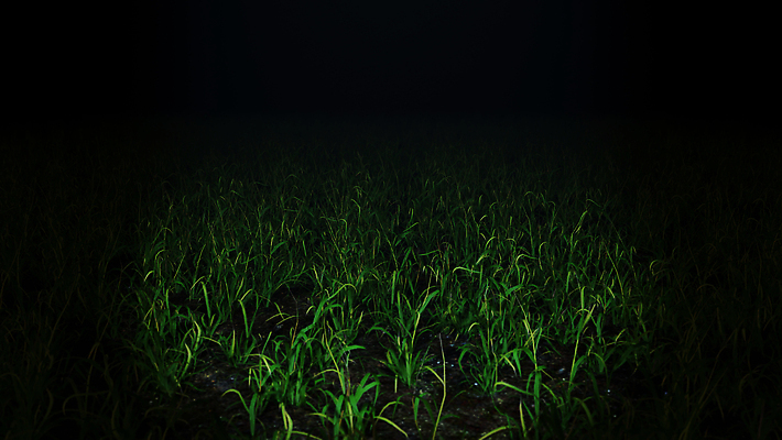 포토 JPG 해외이미지 계절 여행 나비 백그라운드 밭 농업 벽지 하늘 동화 추상 휴가 산 안테나 건강 풍경 사람없음 야외 여름 컬러풀 햇빛 뷰티 3D 일출 환경 일몰 봄 꿈 자유 수확 벚꽃 시골 신비 장면 공상 마법 내추럴 밭일 몽환 환상 수평선 해외202310 해외포토 꽃 산업 컬러 곤충 컨셉 무늬 통신 태양 노을 디지털합성 파일형식