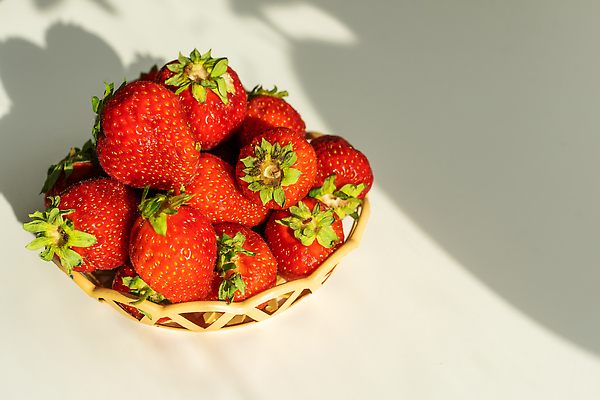 포토 JPG 해외이미지 과일 딸기 그림자 사람없음 바구니 무더기 해외202310 해외포토 파일형식