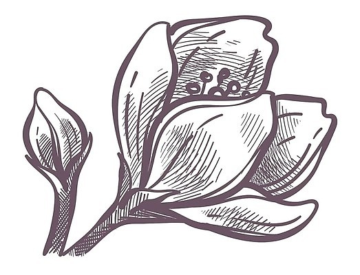 EPS 해외이미지 식물 디자인 꽃잎 꽃 선 꽃다발 잎 꽃무늬 일러스트 자연 벽지 흑백 미술 그래픽 장식 뷰티 정원 검은색 봄 낭만 수확 벚꽃 흰색 나뭇가지 신용카드 개화 클래식 우아함 스케치 꽃집 허브 그림 복고 윤곽 내추럴 고립 스타일 벡터 디테일 해외202310 해외일러스트 나무 계절 컬러 컨셉 무늬 농업 문화예술 촬영기법 금융 상점 생태계 파일형식