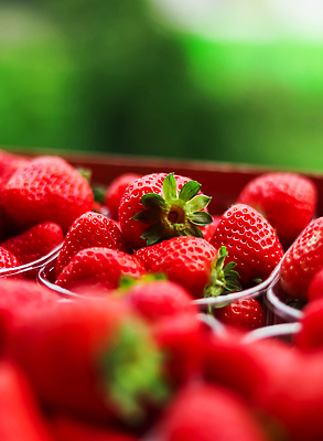 포토 JPG 해외이미지 과일 포장 딸기 사람없음 빨간색 무더기 플라스틱통 해외202310 해외포토 컬러 통 플라스틱 파일형식