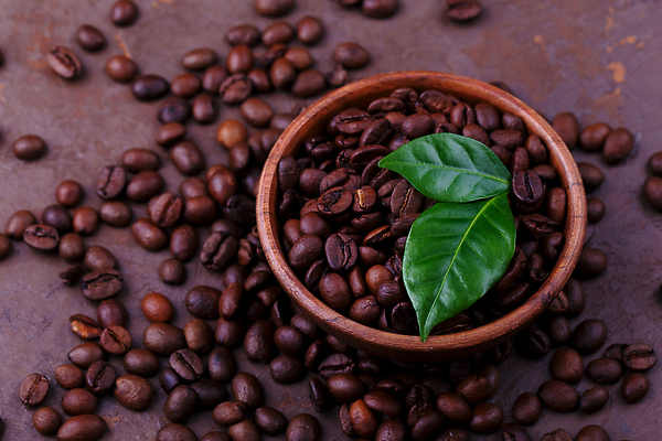 포토 JPG 해외이미지 커피 음료 음식 컬러 백그라운드 패턴 농업 재료 추상 콩 프레임 씨앗 사람없음 가로 갈색 우주 검은색 어둠 카페 신선 그룹 맛 아침식사 매끈함 굽기 가득함 질감 향기 에스프레소 흙더미 모카 카페인 해외202310 해외포토 식물 산업 컨셉 무늬 곡류 상점 식사 흙 감각 구이 냄새 파일형식 더미