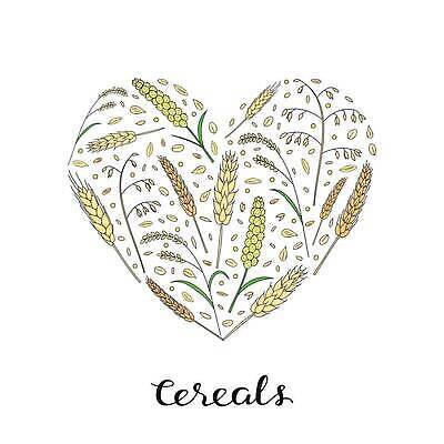 EPS 해외이미지 일러스트 곡류 사람없음 노란색 하트 낙서 낟알 시리얼 밀 보리 호밀 귀리 아기자기 해외202310 해외일러스트 모양 음식 컬러 컨셉 파일형식 벡터