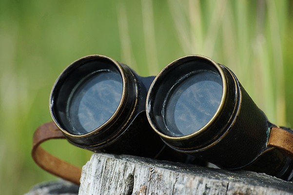 포토 JPG 해외이미지 응시 안경 여행 백그라운드 자연 돋보기 거리 사람없음 야외 목재 우주 검은색 쌍안경 캠핑 하이킹 장비 탐험 기구 공구 관찰 숲 모험가 사파리 오브젝트 검색 군용 사냥 비전 감시 사냥꾼 발견 스파이 원정 생존 광학 해외202310 해외포토 나무 직업 시선 잡화 컬러 재료 모션 레저 군대 망원경 도구 생태계 파일형식