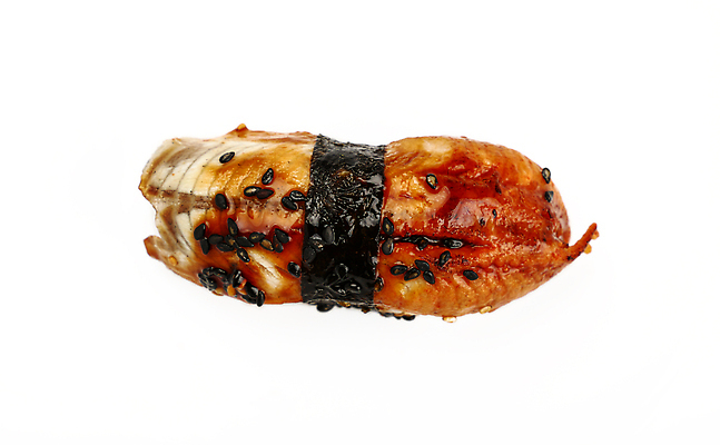 포토 JPG 해외이미지 1 전통 음식 백그라운드 다이어트 부분 밥 건강 어류 요리 동양인 사람없음 일본 초밥 흰색 신선 닫기 정상 먹기 장어 해산물 날것 각도 치수 서빙 내추럴 항공촬영 고립 맛있는 해외202310 해외포토 아시아 뷰포인트 컬러 모션 인종 수중동물 일본음식 파일형식