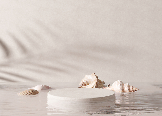 포토 JPG 해외이미지 백그라운드 조개 사람없음 물 공간 원형 단상 포디움 해외202310 해외포토 자연요소 도형 어패류 무대 파일형식