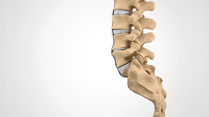 포토 JPG 해외이미지 일러스트 해부 뼈 골격 건강 사람 사람없음 3D 고통 디스크 오르간 질병 척추 관절염 문제 정형외과 무너짐 해외202310 해외포토 감정 의학 모션 병원 건반악기 디지털합성 파일형식