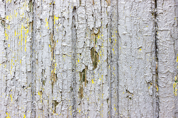 포토 JPG 해외이미지 나무 디자인 벽 백그라운드 패턴 자연 벽지 표면 날씨 추상 바닥 건조 사람없음 목재 장식 세로 울타리 손상 회색 수확 시골 판넬 거친 그리기 균열 플랫 수리 널 질감 시들음 내추럴 그런지 수목 옛날 카피스페이스 효과 비어있는 해외202310 해외포토 식물 컬러 컨셉 무늬 농업 재료 모션 담장 공백 생태계 파일형식