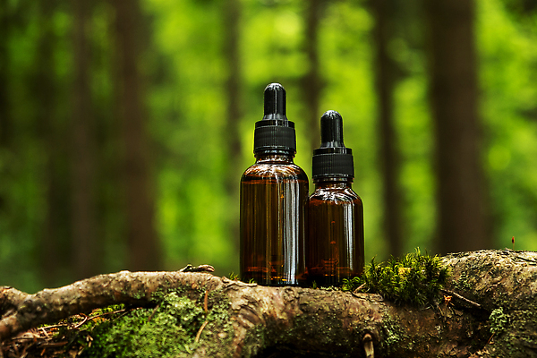 포토 JPG 해외이미지 템플릿 라이프스타일 디자인 얼굴 백그라운드 컨셉 신체 자연 유리 건강 이끼 사람없음 치료 가로 초록색 갈색 스파 화장품 신선 마사지 액체 약초 상품 숲 컨테이너 피부 피부관리 에코 유기농 나무껍질 로션 스킨케어 아로마테라피 내추럴 돌봄 바디케어 수분크림 위생관리 피펫 해외202310 해외포토 나무 웰빙 산업 컬러 의학 모션 재질 실험기구 관리 생활 신체부위 뷰티 환경 껍질 풀_식물 생태계 테라피 파일형식