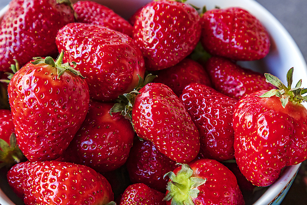 포토 JPG 해외이미지 그릇 과일 딸기 사람없음 빨간색 무더기 해외202310 해외포토 식기 컬러 파일형식