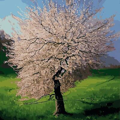 EPS 해외이미지 클립아트 나무 식물 전통 디자인 계절 공원 꽃잎 꽃 분홍색 백그라운드 꽃무늬 과일 일러스트 자연 추상 발렌타인데이 풍경 빨간색 여름 뷰티 라벨 환경 정원 일본 희망 봄 성장 덮개 벚꽃 나뭇가지 축하 인사 신용카드 개화 체리 가장자리 인쇄 과수원 그림 부드러움 고립 벡터 해외202310 해외일러스트 공공시설 감정 아시아 컬러 컨셉 무늬 농업 데이이벤트 프레임 금융 뚜껑 예절 감각 둘레 생태계 파일형식