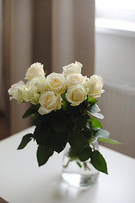 포토 JPG 해외이미지 꽃잎 꽃 꽃다발 결혼 잎 꽃무늬 창문 자연 아침 휴가 주택 실내 발렌타인데이 선물 사랑 사람없음 내부 장식 햇빛 뷰티 장미 꽃병 봄 방 낭만 벚꽃 흰색 축하 신선 고급 우아함 소프트포커스 다발 배열 구성 정물화 목업 해외202310 해외포토 주간 식물 계절 감정 컬러 컨셉 무늬 데이이벤트 촬영기법 이벤트 건물 태양 그림 생태계 파일형식