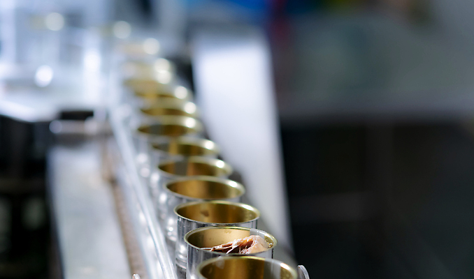 포토 JPG 해외이미지 식물 산업 아시아 선 음식 백그라운드 토마토 비즈니스 포장 공장 어류 안전 사람없음 빨간색 금속 기계 재활용 장비 벨트 신선 업무 항아리 캔 제조 은색 상품 수증기 컨테이너 해산물 준비 수납 고등어 통조림 공학 단백질 방법 위생관리 컨베어밸트 살균 해외202310 해외포토 잡화 교육 나라 컬러 채소 공업 재질 관리 수중동물 작업 도자기 친환경 영양소 파일형식