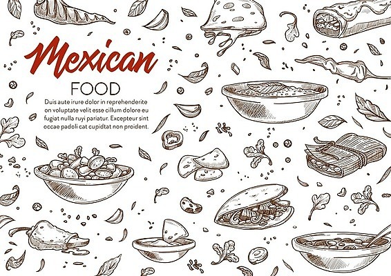 EPS 해외이미지 그릇 잎 일러스트 멕시코 사람없음 스케치 드로잉 멕시코음식 타코 해외202310 해외일러스트 식물 식기 북아메리카 서양음식 미술 파일형식 벡터