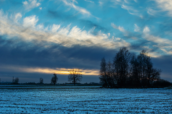 포토 JPG 해외이미지 나무 구름 계절 실루엣 컬러 백그라운드 겨울 밭 자연 하늘 날씨 추상 풍경 사람없음 야외 파란색 햇빛 뷰티 냉동 어둠 황혼 일몰 추위 흰색 시골 저녁 시원함 질감 서리 마법 해외202310 해외포토 자연요소 식물 무늬 농업 촬영기법 태양 노을 야간 생태계 파일형식