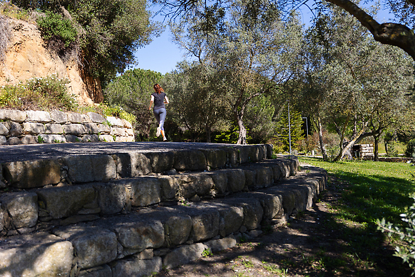 포토 JPG 해외이미지 나무 백인 라이프스타일 공원 여자 안경 스포츠 포즈 요가 자연 운동선수 건강 한명 성인 야외 초록색 달리기 조깅 운동 뷰티 스트레칭 몸무게 숲 집중 연습 달리기선수 선로 적자 해외202310 해외포토 서양인 식물 1 웰빙 잡화 공공시설 컬러 컨셉 모션 사람 생활 생태계 육상선수 파일형식