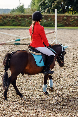 포토 JPG 해외이미지 동물 1 라이프스타일 행복 어린이 모래 스포츠 밭 포유류 자연 사람 성인 취미 사람없음 야외 가로 빨간색 여름 반려동물 뷰티 목장 승마 승차 조랑말 기어 기수 주인 안장 망아지 기르기 해외202310 해외포토 계절 감정 새끼 컬러 농업 모션 생활 말_동물 생태계 돌봄 파일형식