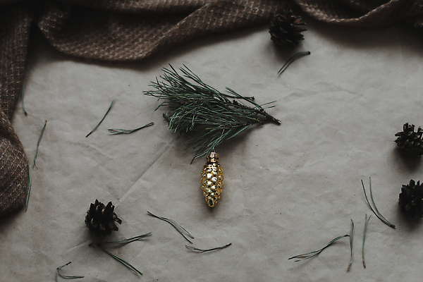 포토 JPG 해외이미지 겨울 사람없음 갈색 나뭇가지 분위기 솔방울 전나무 오너먼트 해외포토 나무 계절 컬러 컨셉 크리스마스장식 파일형식