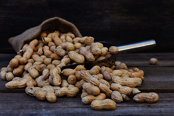 포토 JPG 해외이미지 음식 백그라운드 가방 재료 벽지 건강 씨앗 사람없음 목재 농작물 갈색 쌓기 숟가락 견과류 수확 그룹 맛 낟알 굽기 삽 묘사 유기농 날것 땅콩 흙더미 내추럴 많음 해외202310 해외포토 나무 식물 웰빙 잡화 컬러 컨셉 농업 모션 수저 흙 구이 파일형식 더미