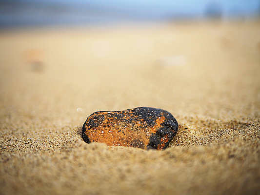 포토 JPG 해외이미지 감정 선 모래 파도 결혼 2 손가락 휴식 아이디어 함께함 발렌타인데이 사랑 사람 사람없음 가로 세로 컬러풀 약 평화 스파 화목 침묵 꿈 회색 낭만 신혼여행 서핑 날짜 싱글 그림 서식 심플 카피스페이스 해외202310 해외포토 손 바다 컬러 컨셉 의학 데이이벤트 이벤트 소리 공백 수상스포츠 파일형식