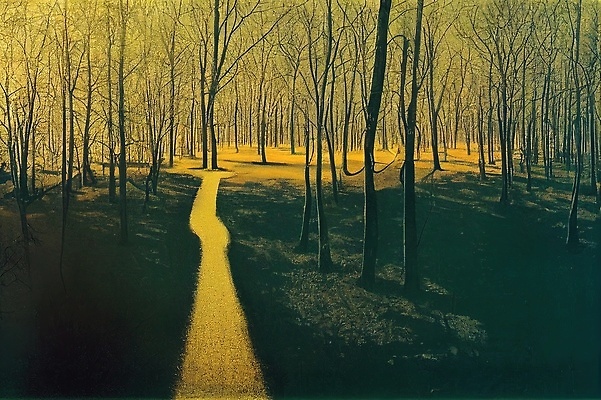 포토 JPG 해외이미지 나무 식물 계절 공원 도로 길 백그라운드 잎 밭 자국 자연 하늘 안테나 그림자 사람없음 야외 목재 초록색 파란색 빛 컬러풀 햇빛 태양 뷰티 노란색 환경 맑음 고요 일몰 봄 하이킹 저녁 숲 트랙 내추럴 생태학 카피스페이스 해외202310 해외포토 자연요소 공공시설 교육 컬러 농업 재료 통신 교통시설 레저 날씨 노을 공백 야간 생태계 파일형식