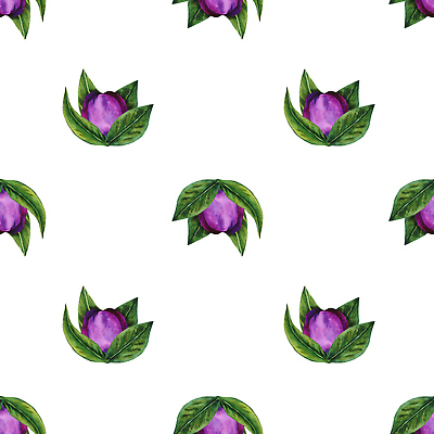 포토 JPG 해외이미지 식물 디자인 꽃잎 꽃 종이 백그라운드 잎 꽃무늬 패턴 일러스트 자연 벽지 추상 미술 사람없음 그래픽 장식 정원 보라색 검은색 봄 수확 벚꽃 직물 신용카드 개화 스케치 그림 질감 손그림 내추럴 고립 엘리먼트 해외202310 해외일러스트 계절 컬러 무늬 농업 문화예술 금융 생태계 파일형식