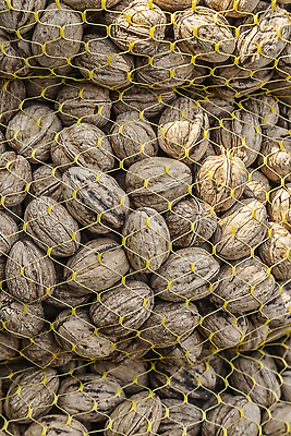 포토 JPG 해외이미지 계절 음식 백그라운드 크리스마스 다이어트 가방 재료 자연 건강 요리 씨앗 사람없음 세로 뷰티 갈색 침묵 견과류 껍질 축하 신선 그물 거친 그룹 시장 닫기 맛 유기농 질감 날것 호두 흙더미 제비 내추럴 영양분 채식주의자 많음 맛있는 해외202310 해외포토 식물 웰빙 잡화 기념일 컬러 컨셉 모션 조류 소리 흙 생태계 채식 파일형식 더미