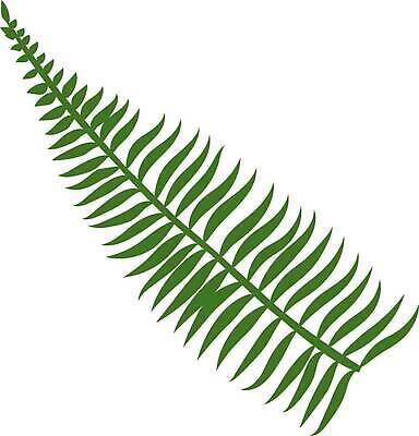 EPS 해외이미지 나무 식물 디자인 화초 컬러 섬 여행 결혼 백그라운드 잎 일러스트 자연 휴가 전등 실내 손바닥 동양인 내부 장식 초록색 뷰티 환경 정원 성장 나뭇가지 숲 큼 오브젝트 원예 내추럴 고립 마다가스카르 이국적 파라다이스 해외202310 해외일러스트 손 조명 인종 이벤트 취미 크기 생태계 파일형식 벡터