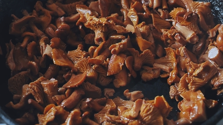 포토 JPG 해외이미지 전통 접시 계절 음식 조각 백그라운드 채소 오렌지 부분 양파 파슬리 건강 요리 사람없음 목재 초록색 노란색 우주 검은색 식사 저녁식사 버섯 튀김 시골 신선 뜨거움 황금 맛 굽기 준비 유기농 로즈메리 내추럴 점심식사 딜 식용 채식주의자 핸드메이드 비건 맛있는 해외202310 해외포토 나무 식기 웰빙 컬러 컨셉 과일 재료 구이 허브 채식 파일형식