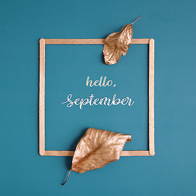 포토 JPG 해외이미지 디자인 계절 종이 백그라운드 컨셉 잎 채소 자연 호박 프레임 건조 미술 사람없음 장식 컬러풀 할로윈 수확 가을 흰색 그룹 황금 플랫 숲 11월 책상 레이아웃 초대 위치 추수감사절 10월 구성 정물화 힙스터 카피스페이스 미니멀리스트 미니멀 국경 해외202310 해외포토 식물 패션 기독교 컬러 가구 농업 문화예술 공백 날짜 그림 생태계 파일형식