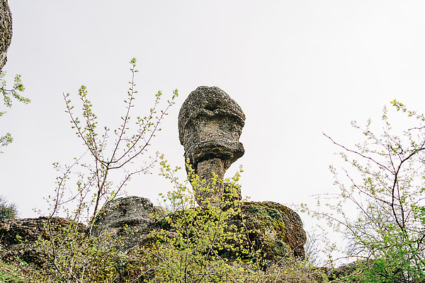 포토 JPG 해외이미지 모양 나무 공원 얼굴 여행 자연 하늘 산 미술 풍경 사람없음 야외 여름 조각상 머리 하이킹 회색 바위 보호 신비 공상 포인트 내추럴 관심 랜드마크 생태학 옛날 전국 지질학 특별함 화강암 해외202310 해외포토 식물 계절 공공시설 교육 컬러 컨셉 레저 문화예술 신체부위 금융 조형물 암석 돌_바위 생태계 파일형식