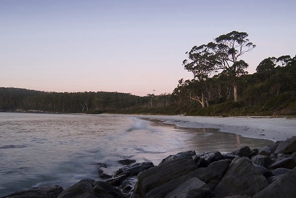 포토 JPG 해외이미지 나무 파도 아침 사람없음 평화 일출 황혼 일몰 새벽 만 숲 고립 비어있는 해외202310 해외포토 주간 자연요소 식물 바다 컨셉 노을 파일형식
