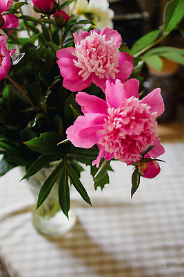 포토 JPG 해외이미지 식물 교육 기념일 꽃잎 줄기 컬러 꽃다발 가구 결혼 창문 벽지 바닥 아파트 실내 발렌타인데이 선물 사랑 사람없음 내부 책 보라색 성경 중국 방 낭만 시골 침대 인사 부채 생일 우아함 편안함 그림 부드러움 리빙 구성 작약 파스텔톤 카피스페이스 안락 해외202310 해외포토 꽃 감정 아시아 생활용품 컨셉 종교용품 데이이벤트 주택 이벤트 공백 예절 감각 파일형식