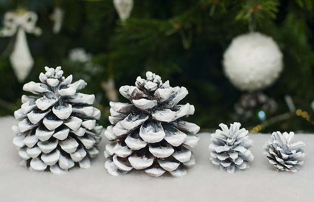 포토 JPG 해외이미지 나무 식물 디자인 계절 백그라운드 크리스마스 겨울 꽃무늬 가족 자연 추상 휴가 새로움 새해 사람없음 장식 가로 초록색 빛 장난감 환경 얼음 추위 성장 흰색 나뭇가지 소나무 눈송이 황금 12월 연도 보케 상록수 침엽수 마법 전나무 원뿔 가문비나무 해외202310 해외포토 자연요소 도형 기념일 꽃 컬러 컨셉 무늬 관계 눈_날씨 날짜 생태계 파일형식