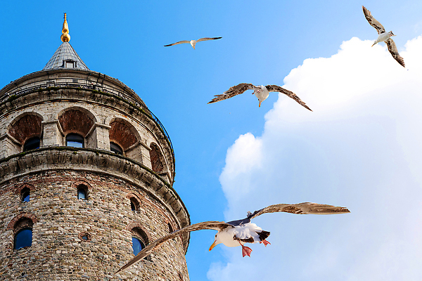 포토 JPG 해외이미지 외관 유럽 여행 건축양식 갈매기 조류 하늘 이스탄불 사람없음 건물 탑 바위 도시 중세 역사 지역 타운 칠면조 랜드마크 명승지 옛날 콘스탄티노플 튀르키예 해외202310 해외포토 동물 건축물 건축 나라 아시아 풍경 돌_바위 파일형식