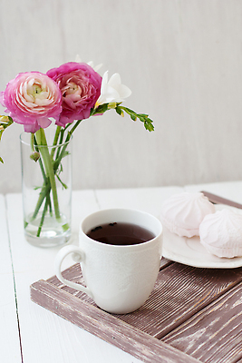 포토 JPG 해외이미지 그릇 꽃 음료 분홍색 컬러 꽃다발 백그라운드 다이어트 아침 휴가 친절 쟁반 사랑 사람없음 목재 컵 초록색 꽃병 봄 기쁨 흰색 차 아침식사 크림 맛있는 해외202310 해외포토 주간 나무 식물 식기 계절 감정 재료 건강 식사 파일형식