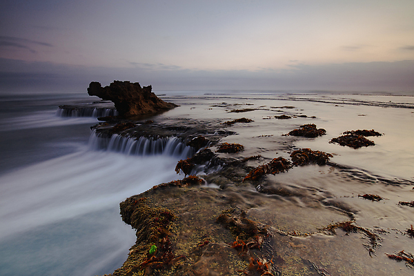 포토 JPG 해외이미지 구름 모래 파도 바다 상징 여행 조류 풍경 사람없음 파란색 침묵 일몰 산책 전원 만 거친 서핑 호주 폭풍 멜버른 호밀 해외202310 해외포토 자연요소 동물 컬러 날씨 휴식 곡류 노을 소리 수상스포츠 오세아니아 전기에너지 파일형식
