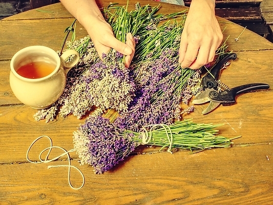 포토 JPG 해외이미지 식물 손 여자 꽃 밧줄 줄 컬러 꽃다발 탁자 휴가 휴식 건조 건강 사람없음 치료 장식 초록색 파란색 뷰티 약 보라색 화장품 회색 벚꽃 흰색 나뭇가지 신선 업무 작업실 약초 허브 향수 향기 아로마 향 아로마테라피 라벤더 내추럴 해외202310 해외포토 나무 가구 컨셉 의학 사람 신체부위 작업 풀_식물 냄새 테라피 파일형식