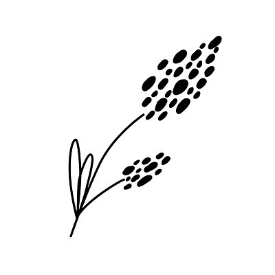 EPS 해외이미지 식물 디자인 꽃 실루엣 선 결혼 백그라운드 잎 꽃무늬 일러스트 자연 추상 미술 그래픽 장식 여름 세트 뷰티 정원 검은색 봄 낭만 수확 벚꽃 나뭇가지 화려 낙서 스케치 수집 그림 심플 손그림 내추럴 엘리먼트 스타일 벡터 해외202310 해외일러스트 나무 계절 컬러 컨셉 무늬 농업 문화예술 촬영기법 이벤트 생태계 파일형식