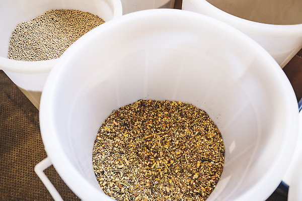 포토 JPG 해외이미지 동물 직업 라이프스타일 여자 행복 스포츠 밭 자연 안내 사람 이벤트 취미 사람없음 야외 여름 뷰티 농장 믿음 강사 경쟁 목장 산책 시골 승마 승차 쇼 과외 기르기 돌봄 라이더 지원 선두 해외202310 해외포토 계절 감정 컨셉 농업 모션 수업 휴식 생활 학습 생태계 파일형식