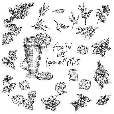 EPS 해외이미지 식물 디자인 음료 백그라운드 잎 겨울 일러스트 유리 귤 미술 초록색 물 세트 얼음 검은색 블록 카페 수확 흰색 나뭇가지 신선 바 그리기 차 스케치 수집 레몬 민트 허브 큐브 메뉴 그림 유기농 복고 서리 윤곽 손그림 판화 내추럴 고립 위스키 벡터 스피아민트 해외202310 해외일러스트 자연요소 나무 웰빙 계절 컬러 농업 과일 모션 재질 문화예술 주류 상점 파일형식