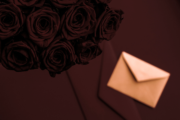 포토 JPG 해외이미지 꽃다발 백그라운드 편지봉투 발렌타인데이 사람없음 장미 어둠 러브레터 해외포토 꽃 데이이벤트 봉투 편지 파일형식