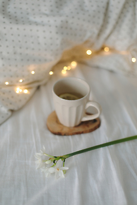 포토 JPG 해외이미지 음료 겨울 전구 사람없음 컵 분위기 보케 수선화 해외포토 식기 계절 꽃 컨셉 파일형식