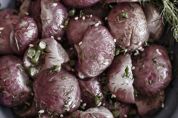 포토 JPG 해외이미지 접시 음식 백그라운드 다이어트 채소 탁자 양파 실내 건강 요리 사람없음 식당 저녁식사 샐러드 굽기 레몬 허브 향신료 유기농 깨 성분 비타민 건강식 점심식사 채식주의자 총각무 맛있는 해외202310 해외포토 식물 식기 웰빙 가구 과일 식재료 내부 상점 식사 조미료 무 구이 채식 영양소 향미료 파일형식